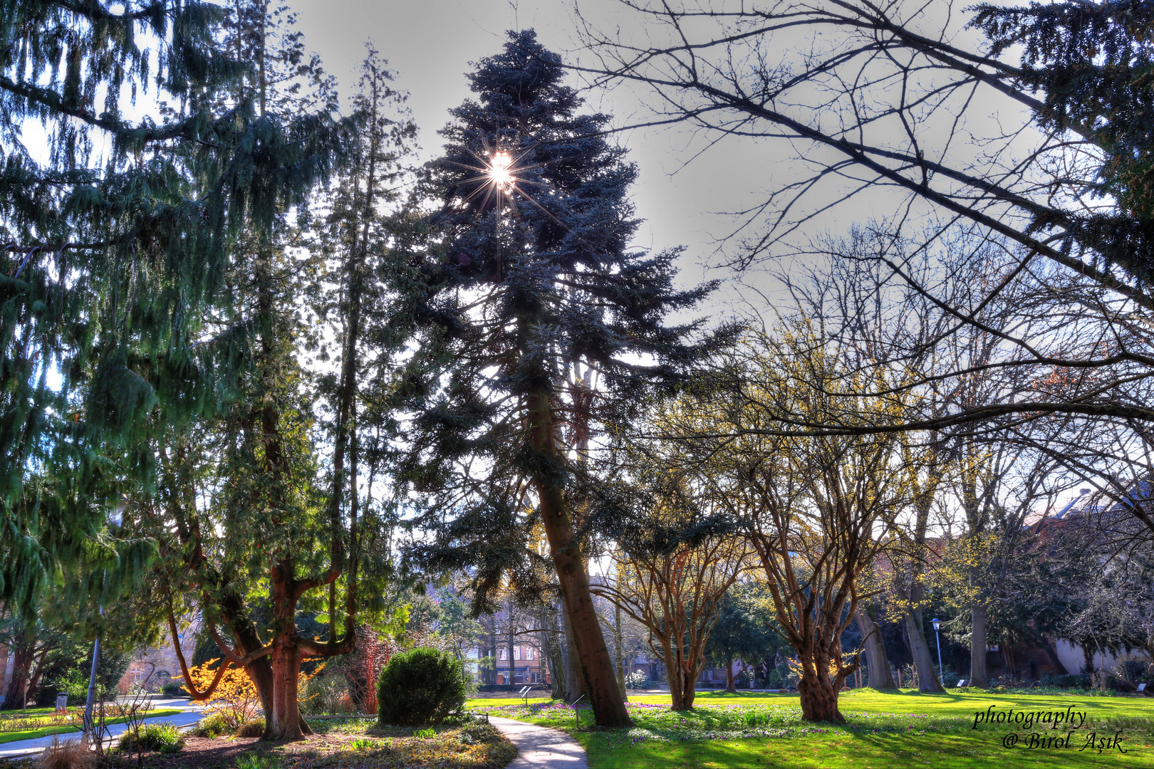 Stadtpark Fürth 1