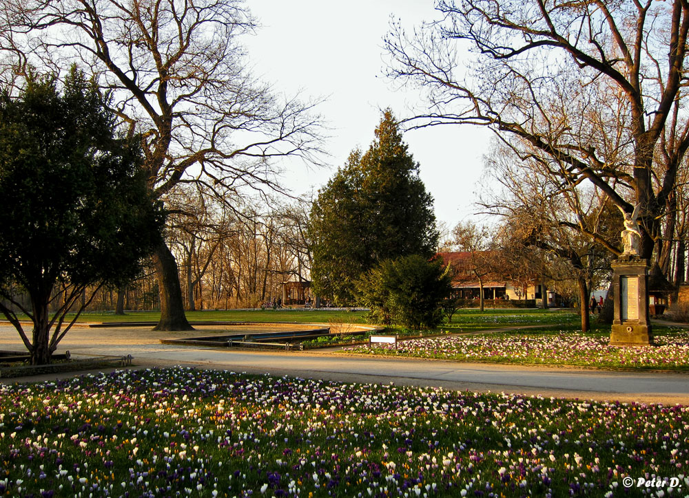 Stadtpark Fürth #2