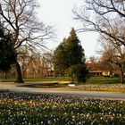 Stadtpark Fürth #2