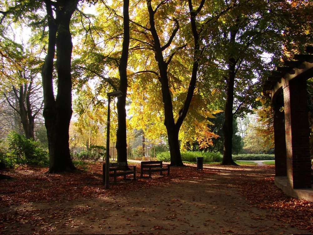 Stadtpark Hamburg