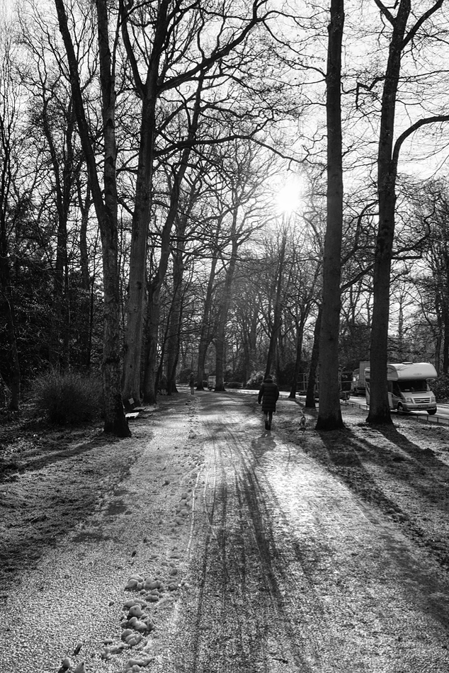 Stadtpark Hamburg