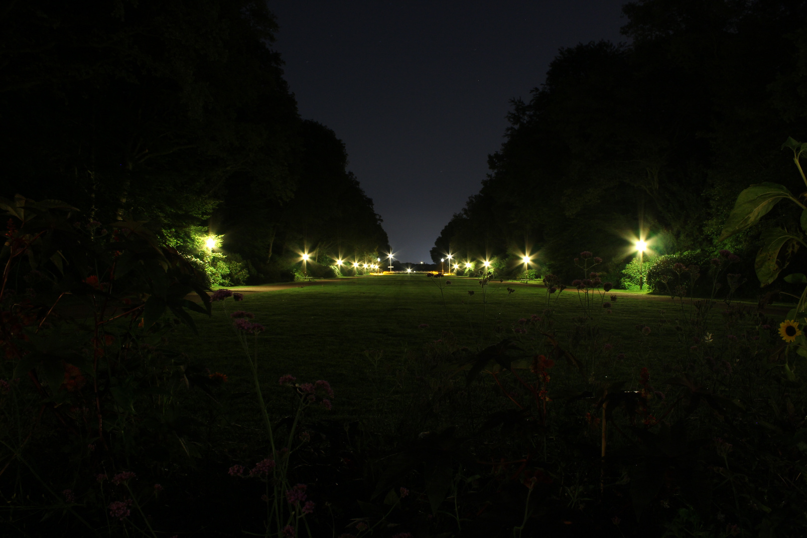 Stadtpark Hamburg Foto Bild Landschaft Naturlandschaft Bei Nacht Natur Bilder Auf Fotocommunity