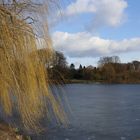 Stadtpark Hamburg