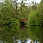 Stadtpark Hamburg Nr.2