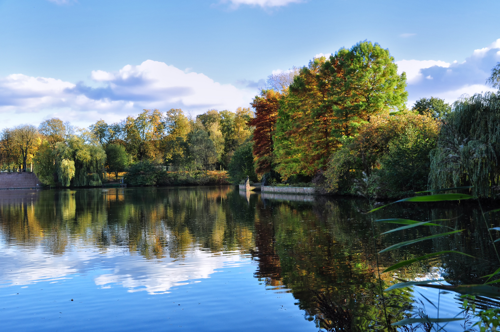 Stadtpark Hamburg Teil 2 Foto Bild Jahreszeiten Herbst Natur Und Tiere Bilder Auf Fotocommunity