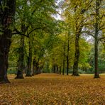 Stadtpark I - Braunschweig