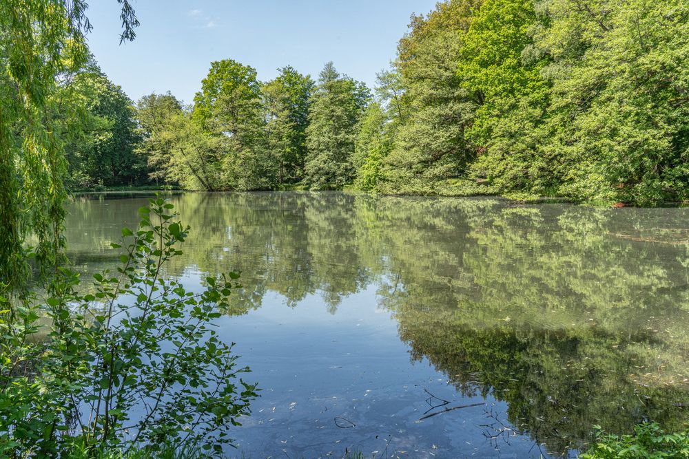 Stadtpark II Burgdorf Foto & Bild park, wasser, teich Bilder auf
