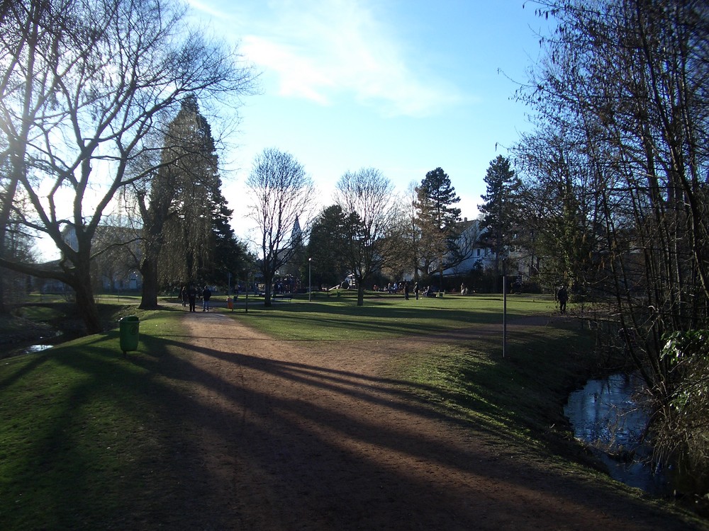 Stadtpark im Gegenlicht