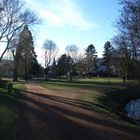 Stadtpark im Gegenlicht