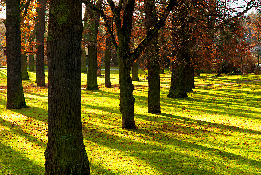 Stadtpark im Herbst