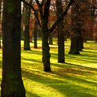 Stadtpark im Herbst