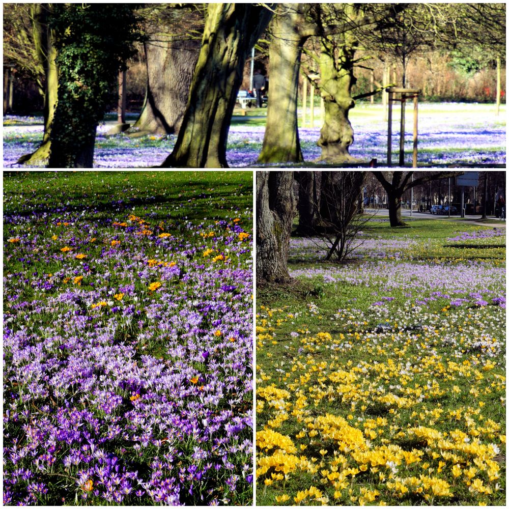 Stadtpark im März