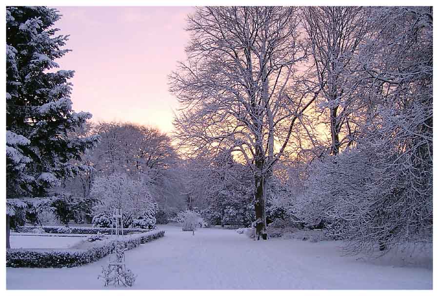 Stadtpark im Winter (1)