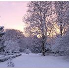 Stadtpark im Winter (1)