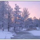 Stadtpark im Winter (3)