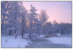 Stadtpark im Winter (3)