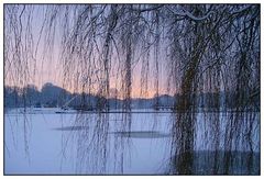 Stadtpark im Winter (4)