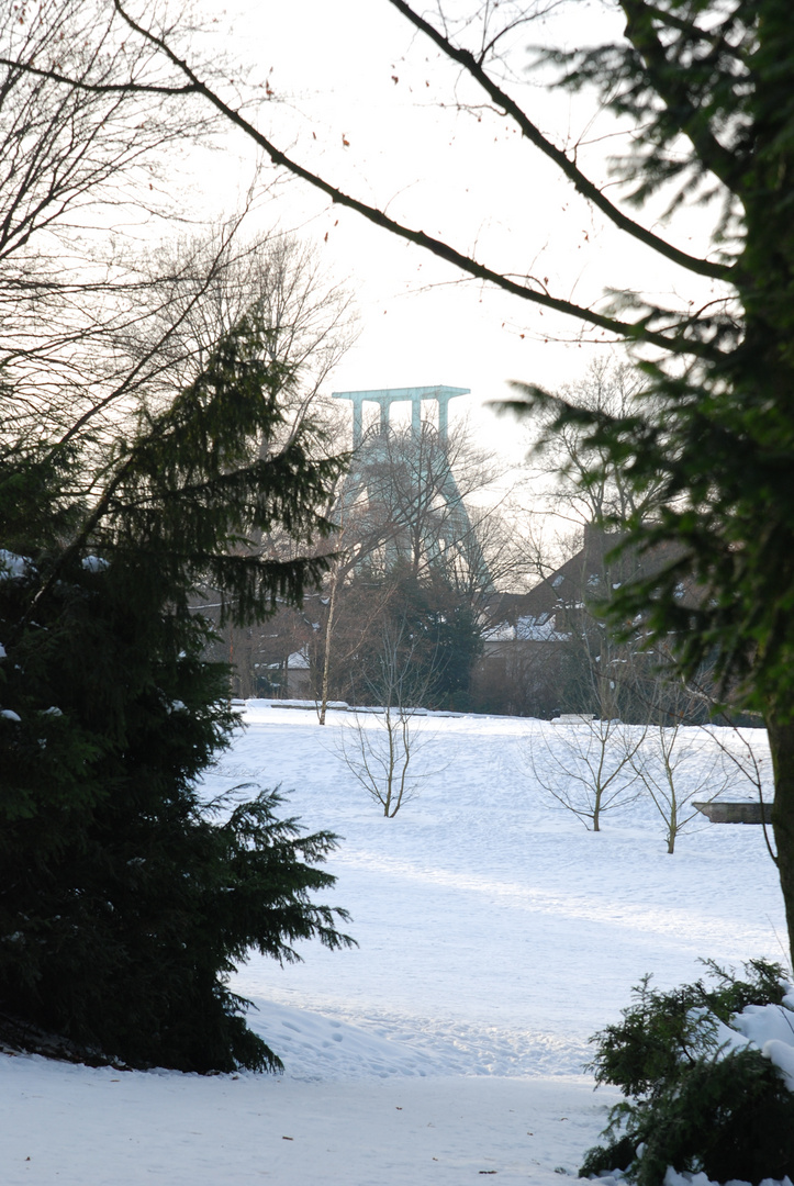 stadtpark im winter