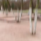 Stadtpark im Winter.