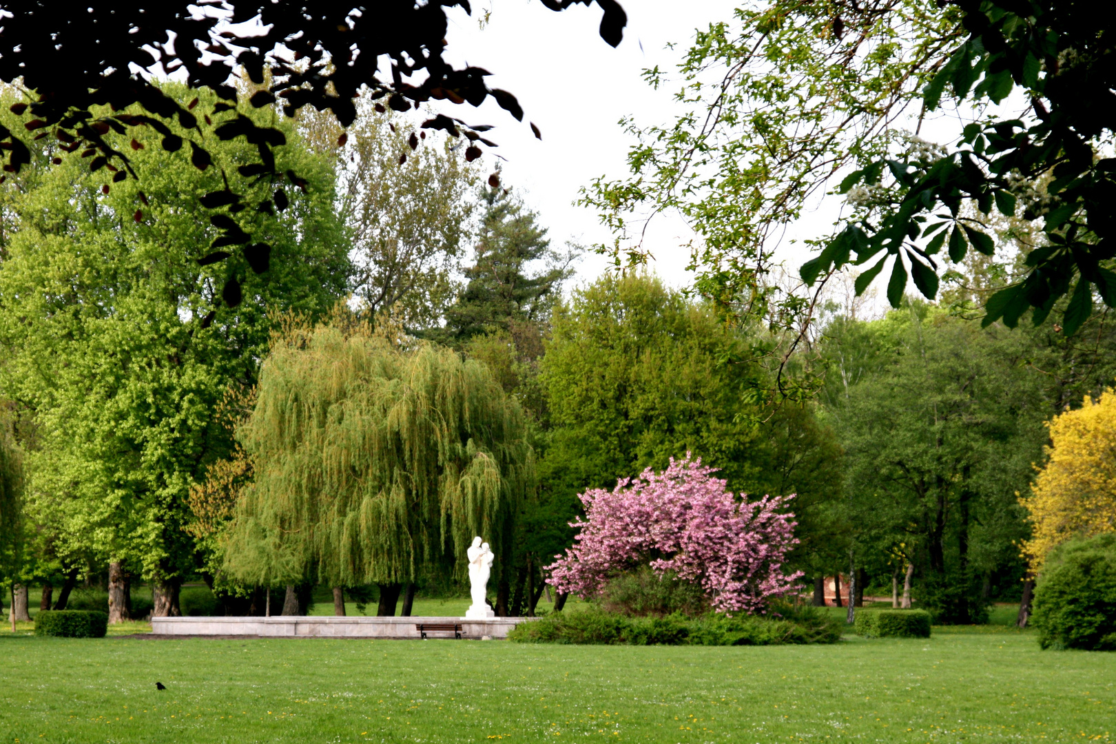 Stadtpark in Delitzsch Foto & Bild landschaft, garten