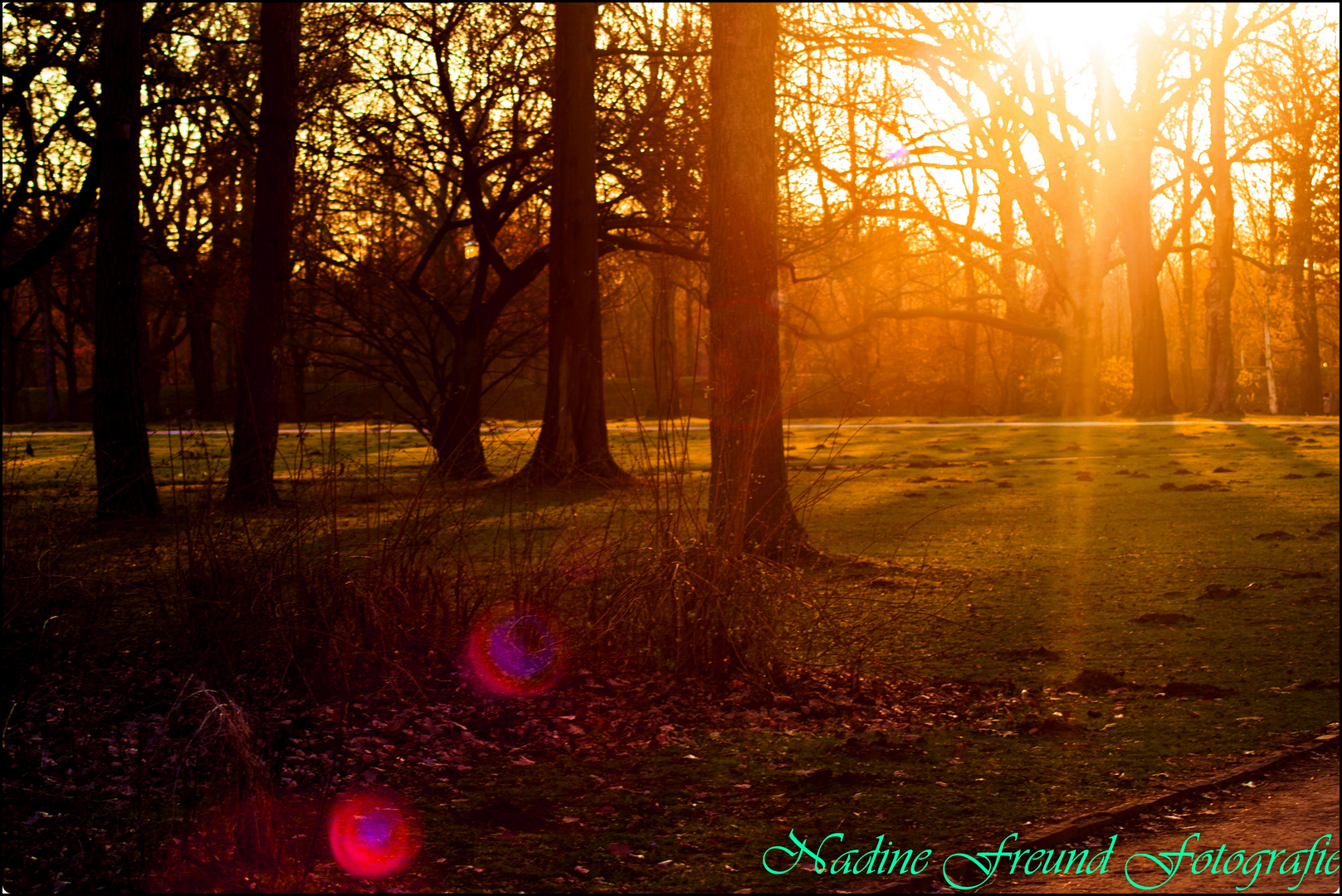 Stadtpark in der Abendsonne