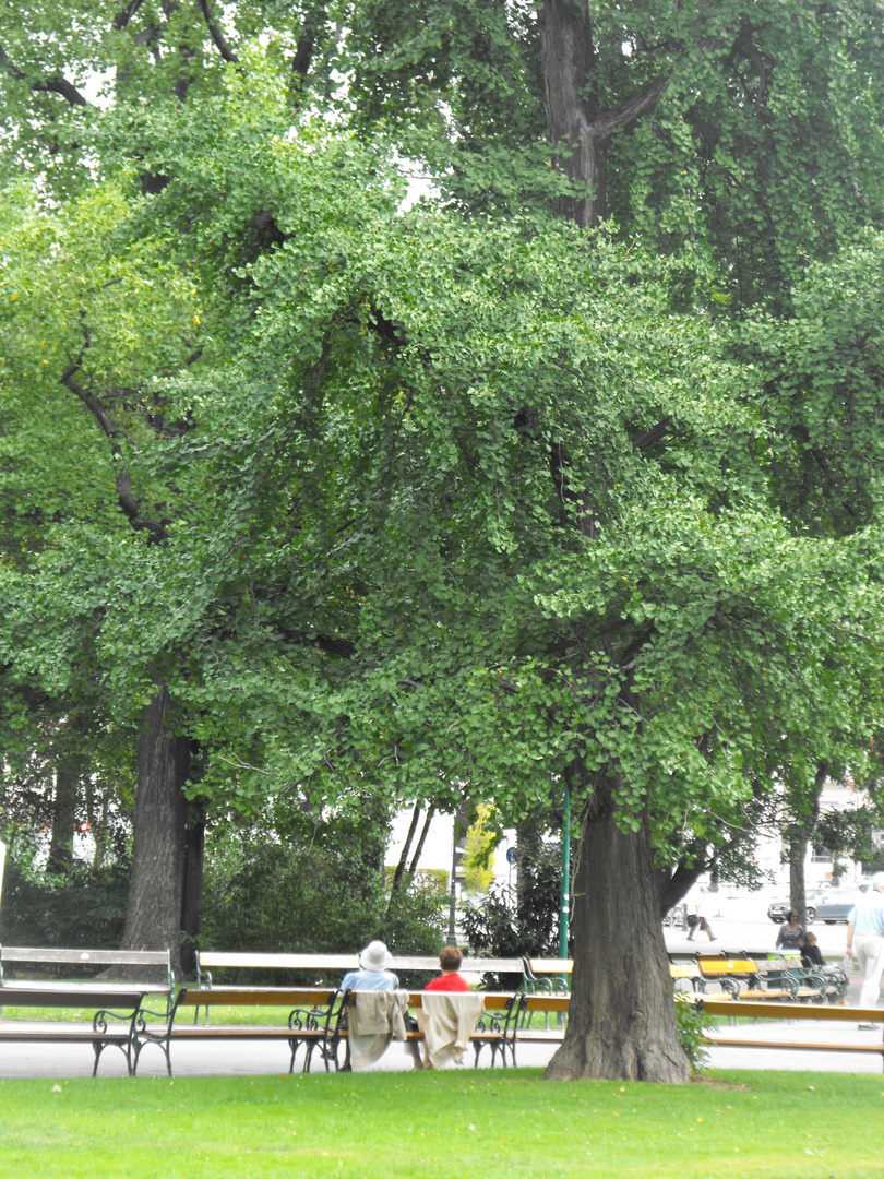 Stadtpark in Wien