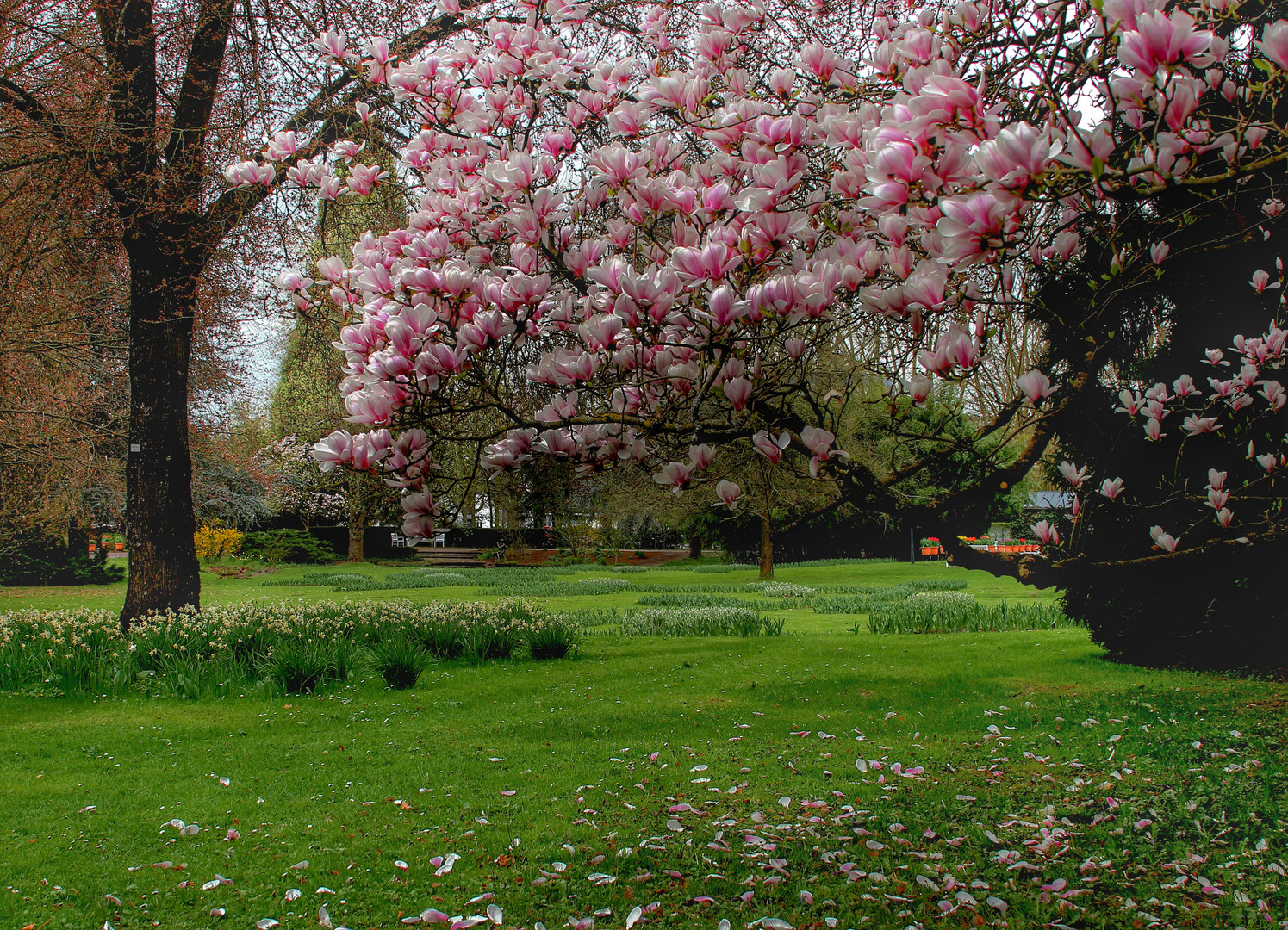 Stadtpark Lahr