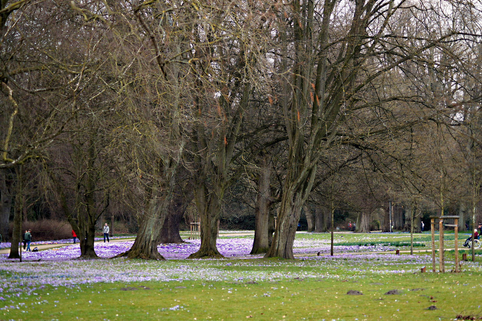 Stadtpark Lübeck Foto & Bild landschaft, garten & parklandschaften