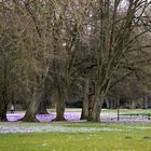 Stadtpark Lübeck