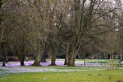 Stadtpark Lübeck