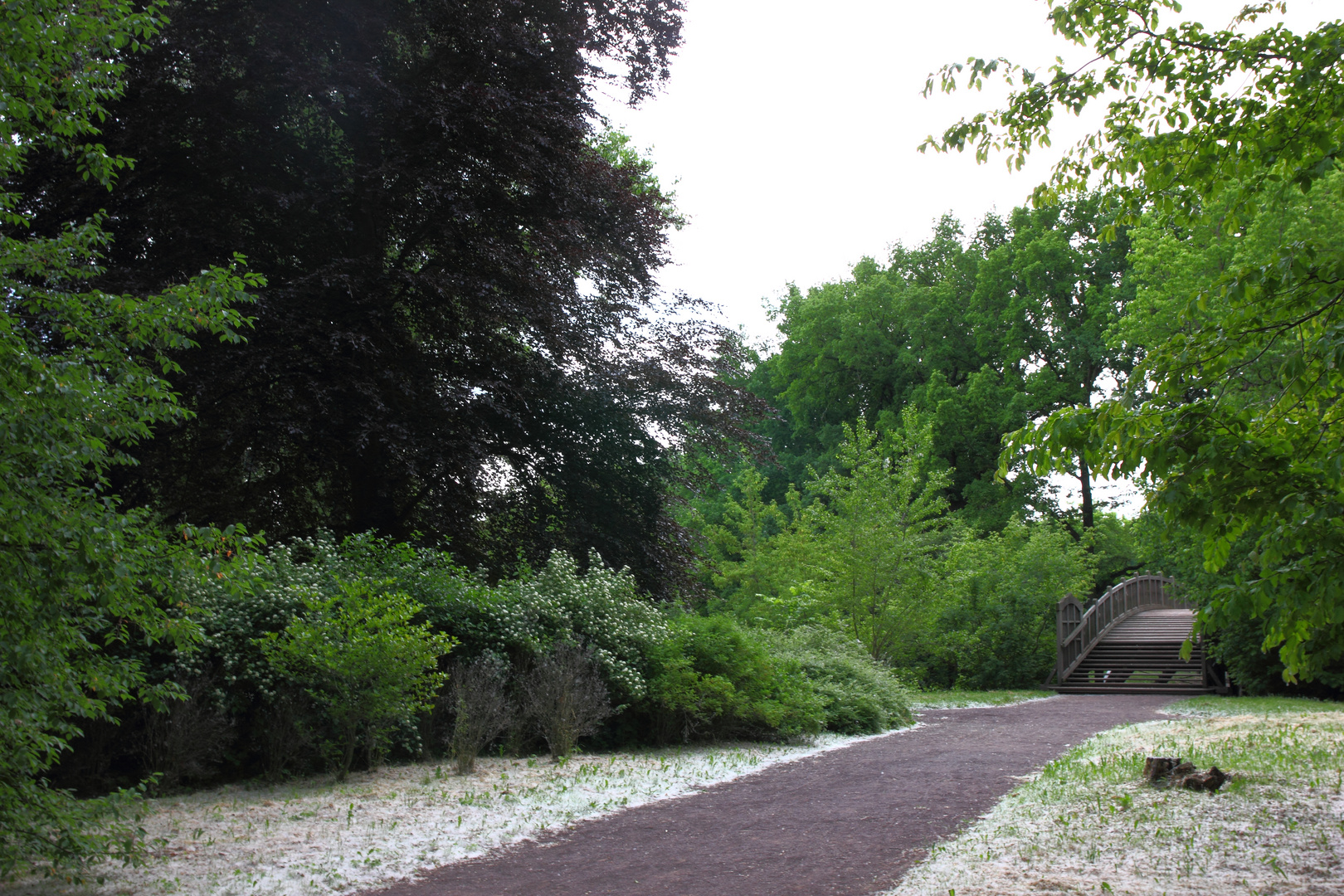 Stadtpark Magdeburg 2