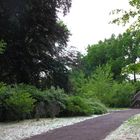 Stadtpark Magdeburg 2