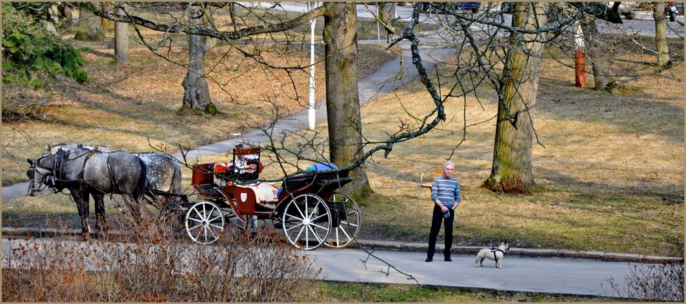 Stadtpark Marienbad