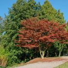 Stadtpark Moers 20161030-12-50_D8E8723-102