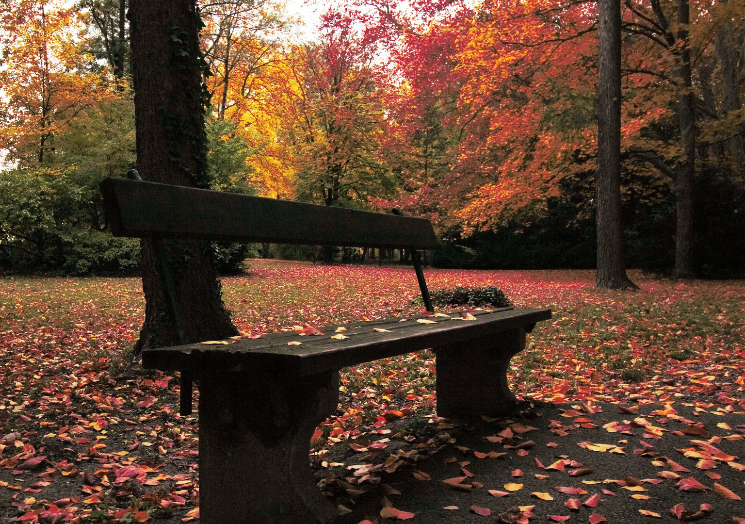 Stadtpark Neunkirchen im Herbst