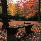 Stadtpark Neunkirchen im Herbst