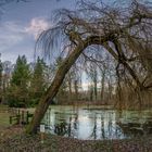 Stadtpark Neuruppin