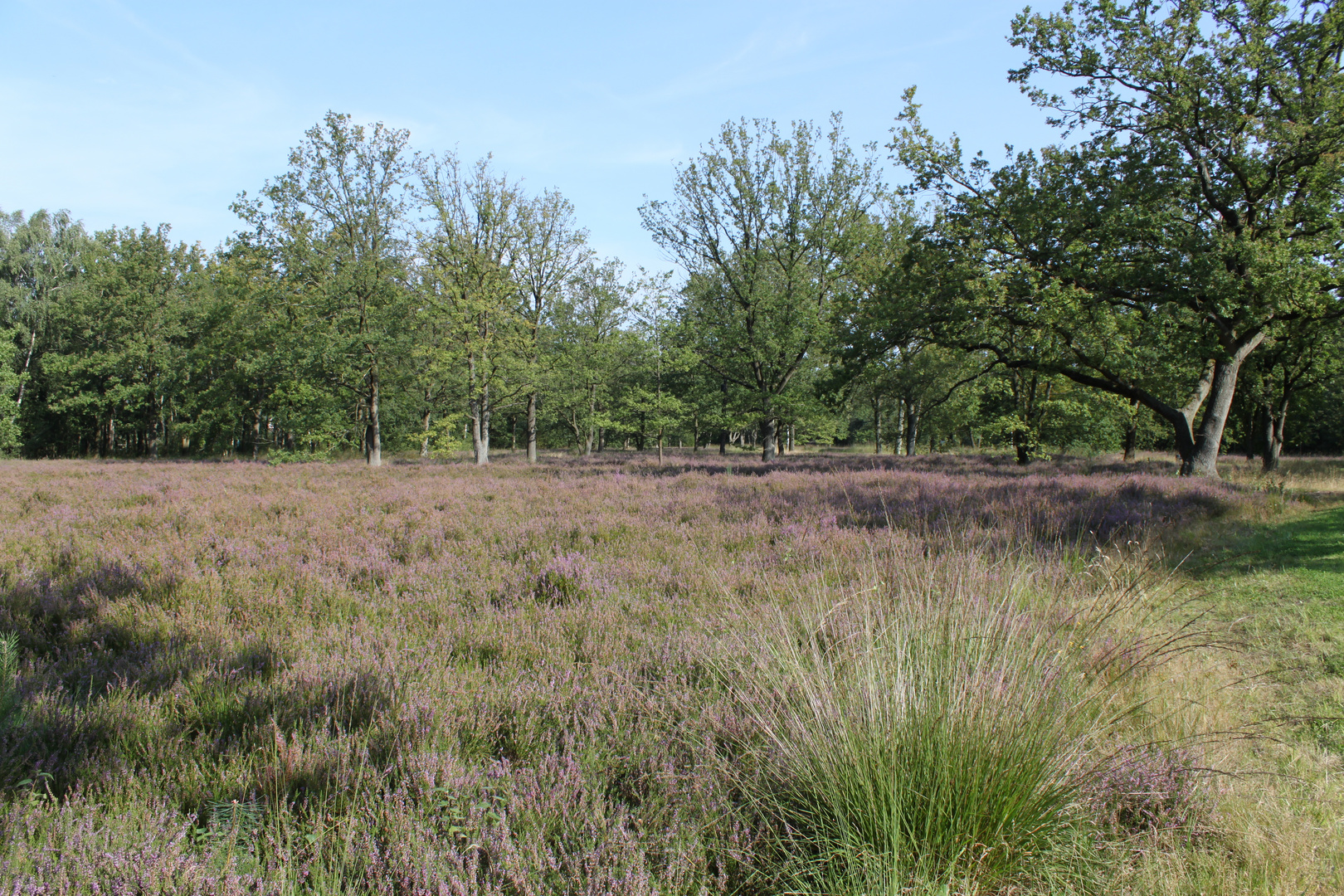 Stadtpark Norderstedt im September