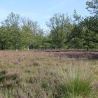 Stadtpark Norderstedt im September