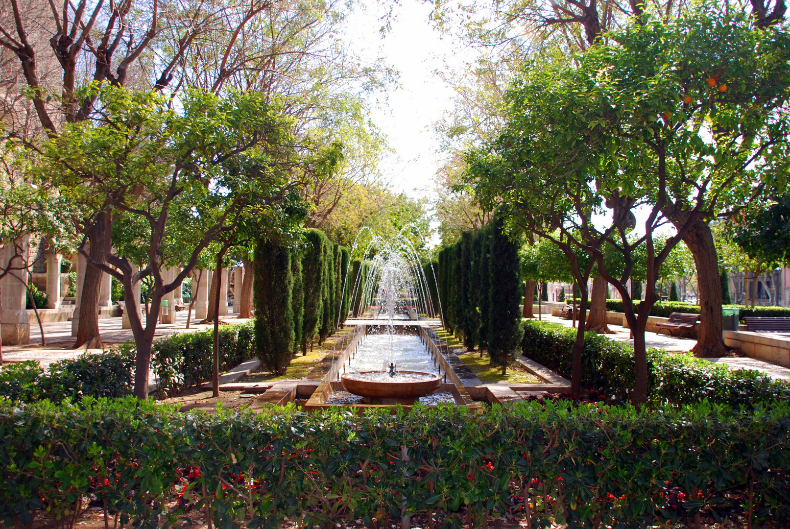 Stadtpark-Palma de Mallorca