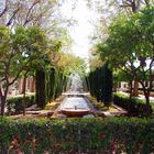 Stadtpark-Palma de Mallorca