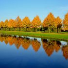 Stadtpark Papenburg