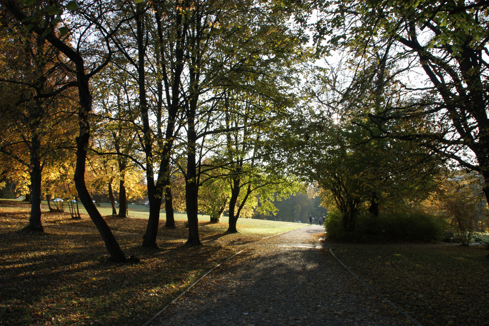 Stadtpark Plauen