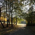 Stadtpark Plauen