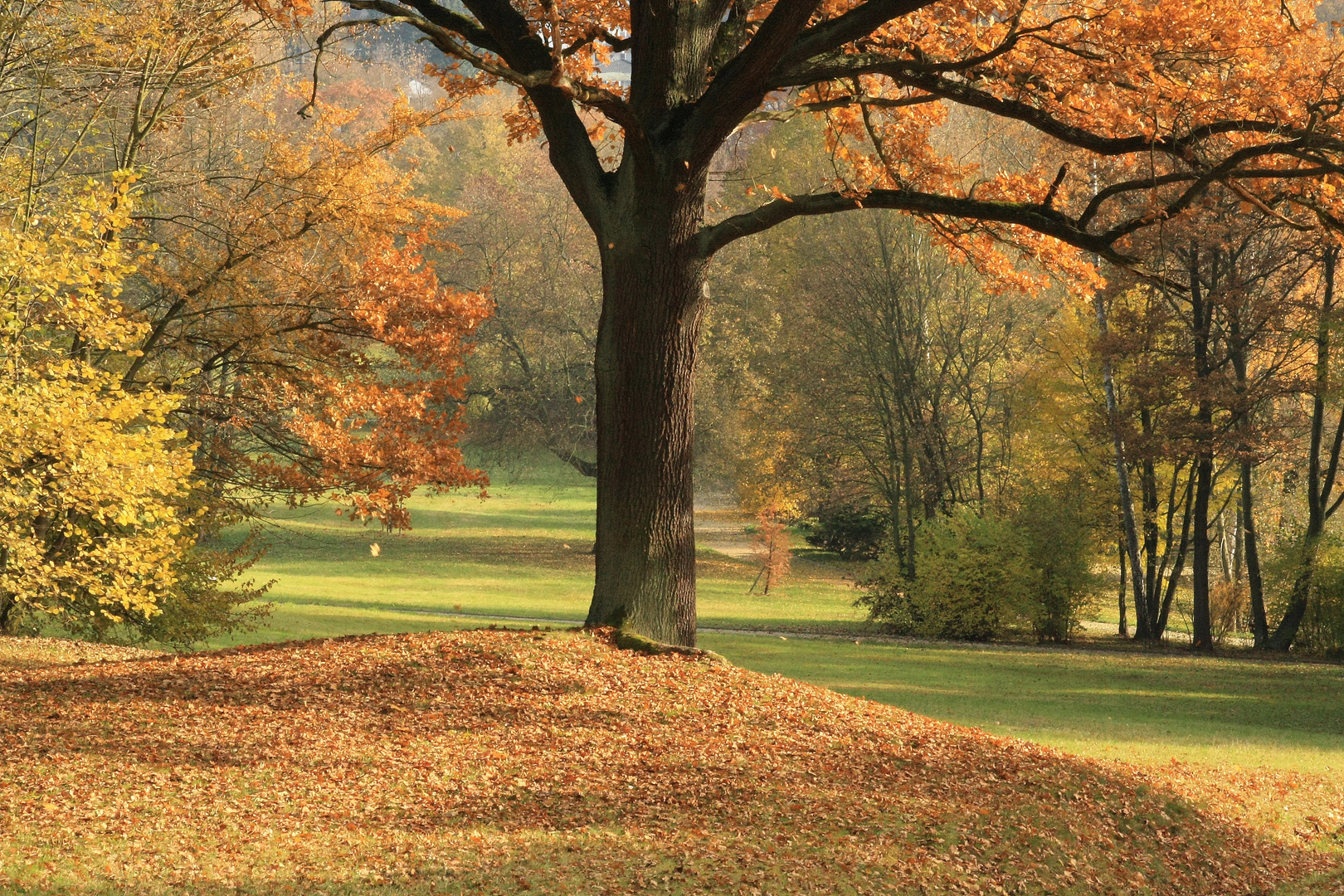 Stadtpark Plauen im Herbst