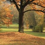 Stadtpark Plauen im Herbst