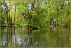 Stadtpark Schwanenstadt