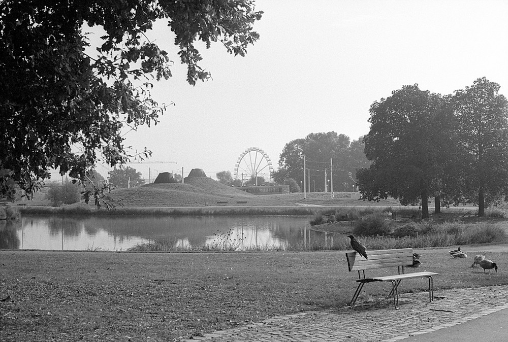 stadtpark stuttgart analog 03