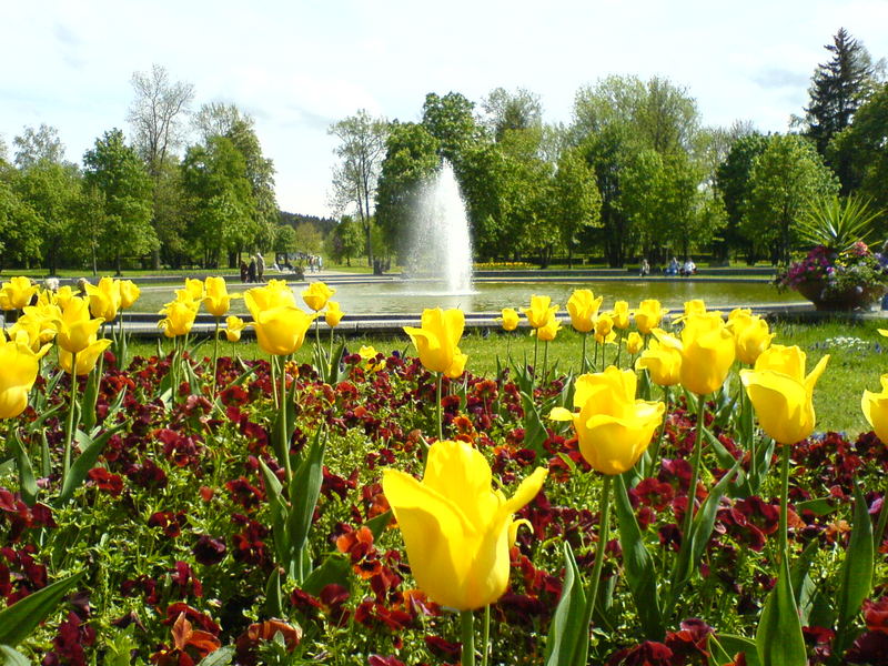 Stadtpark von Bad Dürrheim