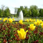 Stadtpark von Bad Dürrheim